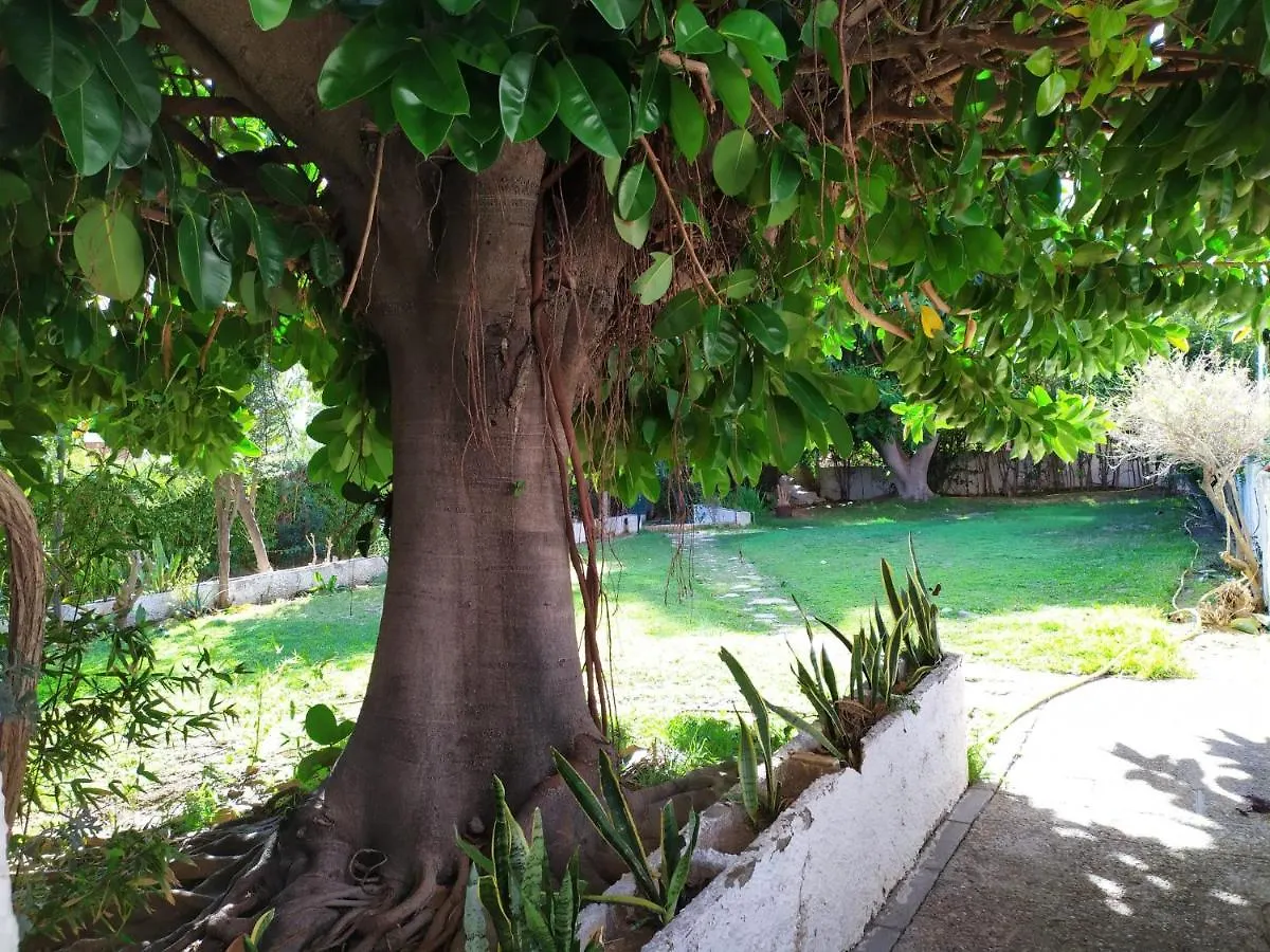Apartamento Piscis Benalmádena